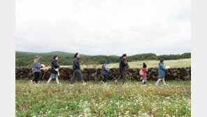 추운 겨울 따뜻한 남쪽섬 제주에서 힐링