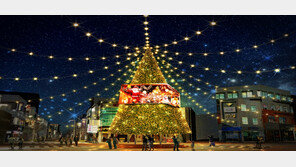 연말 맞아 빛으로 물드는 부산 도심…지자체들 “과거 축제와 차별화”