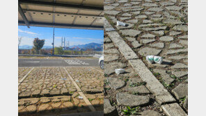 “차만 깨끗하면 OK?”…사천 케이블카 주차장서 ‘기저귀 투기’ 논란 [e글e글]