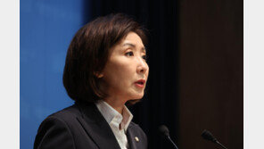 나경원 “尹어게인 내칠 필요 없어…도둑-사기꾼 표라고 안 받나”