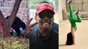 “소녀상 입맞춤·경복궁 대변”…도 넘은 외국인 ‘민폐 관광’ (종합) 