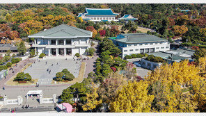 ‘청와대 폭탄 테러’ 30대 협박범, 알고보니 수년전 배다해 괴롭힌 스토커