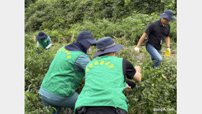 농협중앙회-법무부 ‘보라미봉사단’ 영농 지원 확대