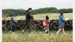 요가-명상… 제주서 힐링하면 최대 60% 할인
