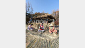 겨울나기 준비하는 초가집