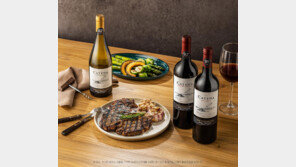 안데스산맥에서 자라 깊은 포도맛… 남미 프리미엄 와인 ‘카테나 자파타’