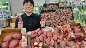 전북 김제 ‘호풍미 고구마’로 겨울 먹거리 공략
