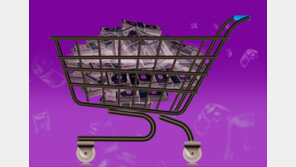 ‘달러 포모’에 비싸도 사재기… 순대외자산 1조달러 훌쩍