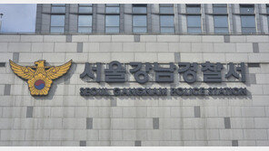 강남 한복판 차량서 수행기사, 여성-아이 흉기 위협 금품 요구