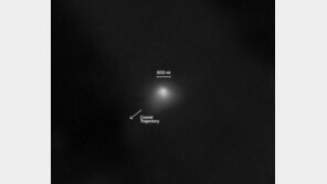 “외계우주선 날아온다” 황당 소문에…나사 “혜성 맞다” 사진 공개