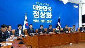 與 “尹석방 권고 의도로 구치소 방문조사” 안창호·김용원 사퇴 요구