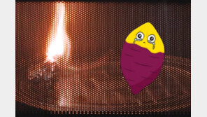 “군고구마 먹으려다 집 태울 뻔”…전자레인지에 넣으면 안 되는 ‘이것’ [알쓸톡]