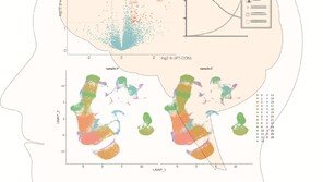 韓연구진 “체내 염증도 우울증 주요 원인”