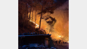 인제 산불 확산…정부 “주민 신속대피…모든 장비 동원”