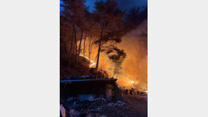 [속보]강원 인제군 야산서 산불 확산