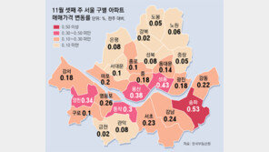 10·15대책 한달, 거래절벽 속 서울 집값 상승… 강서-노원도 올라
