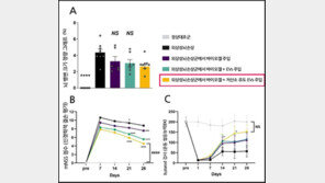 줄기세포에 ‘이것’ 결합했더니…‘뇌병변’ 40% 이상 감소