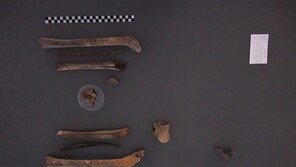 18세에 전사한 6.25 영웅 ‘구자길 일병’…75년만에 가족 품으로