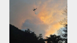 인제 기린면 산불 17시간 만에 진화 완료…산림 36㏊ 소실