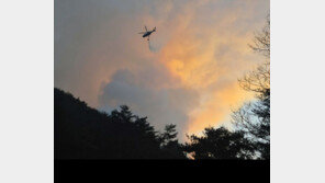 산림청 “인제 산불 17시간 만에 주불 잡았다”