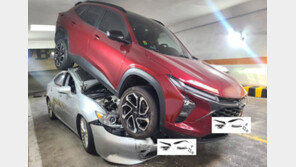 후진하다 렉서스 올라탄 쉐보레…가해자는 태연히 ‘음악감상’