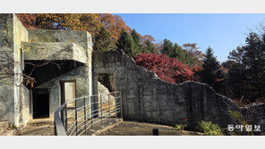 곰 떠난 자리, 350살 밤나무… 만추(晩秋)의 광릉숲엔 철학이 있다[김선미의 시크릿가든]