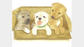 [그림책 한조각]내 친구 백구