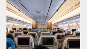 비행기서 의식 잃은 할머니…간호사·소방관 승객이 살렸다