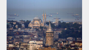 이스탄불 호텔 1주일간 5명 사망 미스터리…살충제 탓?