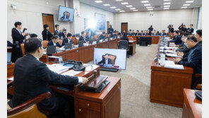 K스틸법-석화지원법, 여야 합의 산자위 통과