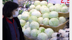 “양상추 주문할 때마다 손이 떨린다”…자영업자들 비명