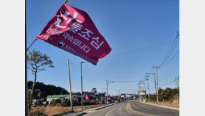 양양 서면 야산서 불…차량 19대 투입 진화 중