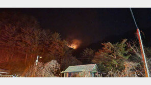 양양 야산 산불 확산 조짐에…서면 내 5개 마을 주민 대피 권고