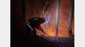 양양 산불에 5개 마을 대피 권고…일출 직후 헬기 10여대 투입