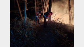 양양 산불 16시간 만에 주불 진화…산림 22.5㏊ 소실