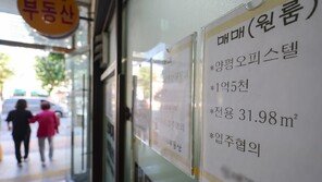 10·15대책 풍선효과…서울 대형 오피스텔 매맷값 큰폭 상승