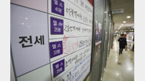 토허구역 신규지정 지역 아파트 전세가 2% 올랐다