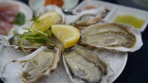 겨울철 기력 살릴 ‘바다의 우유’, 굴[정세연의 음식처방]