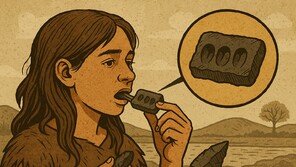 석기시대에 ‘씹던 껌’ 발견…고대 유럽인 색다른 외모 드러나