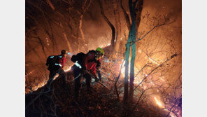 축구장 32개 태운 양양 산불…통제구역 들어간 등산객 ‘실화’ 무게