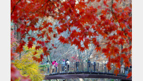 올겨울 덜 춥다…눈·비는 12월 평년보다 적고 내년 2월에 많아