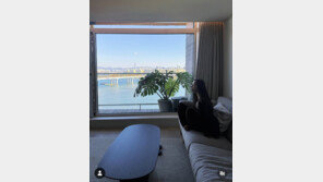 ‘금융인♥’ 효민, 한강뷰 신혼집 공개…모던 감성