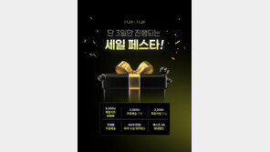   ‘레삐 페스타’ 마지막 챕터 오픈.. 블랙프라이데이 ‘세일 페스타’ 3일간 진행