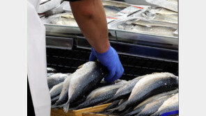 “선도 떨어진 고등어 먹고 구역질”…식중독 아닌 ‘이것’?