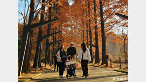 “가을 산책 나오니까 좋지?”