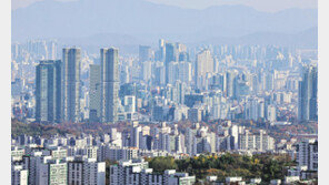 서울 30대 무주택 가구 53만 역대 최대… 멀어지는 ‘내집 마련’