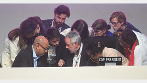 기후 전환, 단순 목표 제시로는 부족… 참여와 조율이 필수[기고/김원상]