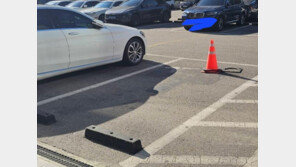 “장애인 전용 주차구역 마크, 검은색으로 지워져…고의 훼손”