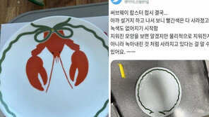 써브웨이 증정품 접시 논란…“무늬 벗겨져 음식에 둥둥”