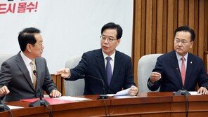 국힘 “국민연금으로 환율 안정? 국민 노후 생계 훼손말라”